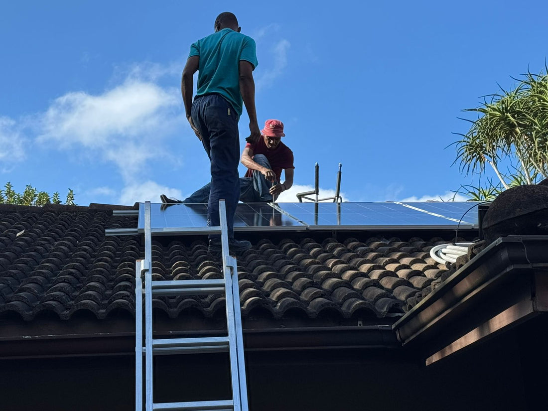 Qualified technicans performing maintenance of solar panels