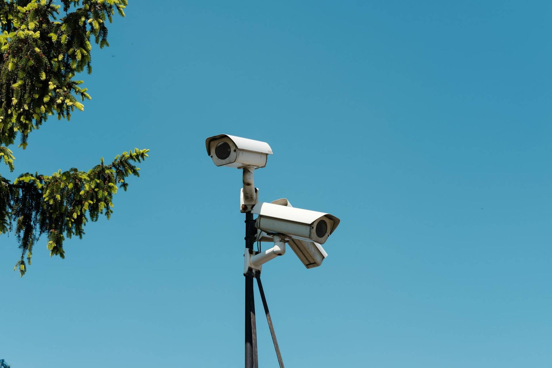 Two security cameras on a pole against a clear blue sky with some greenery.
